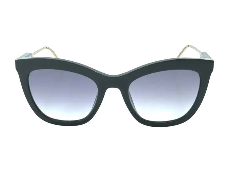 Nina Ricci Sunglasses SNR300 0700