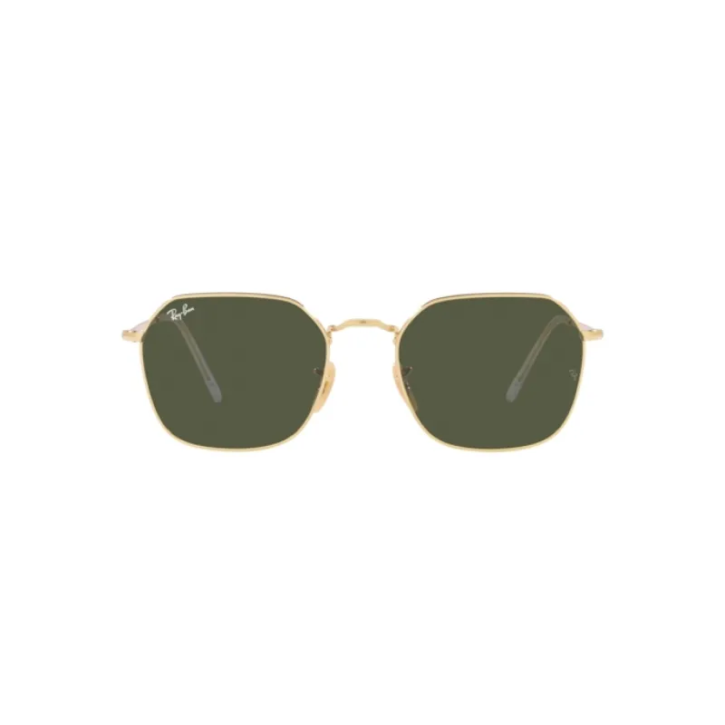 RAY-BAN  SUNGLASSES RB3694 001/31