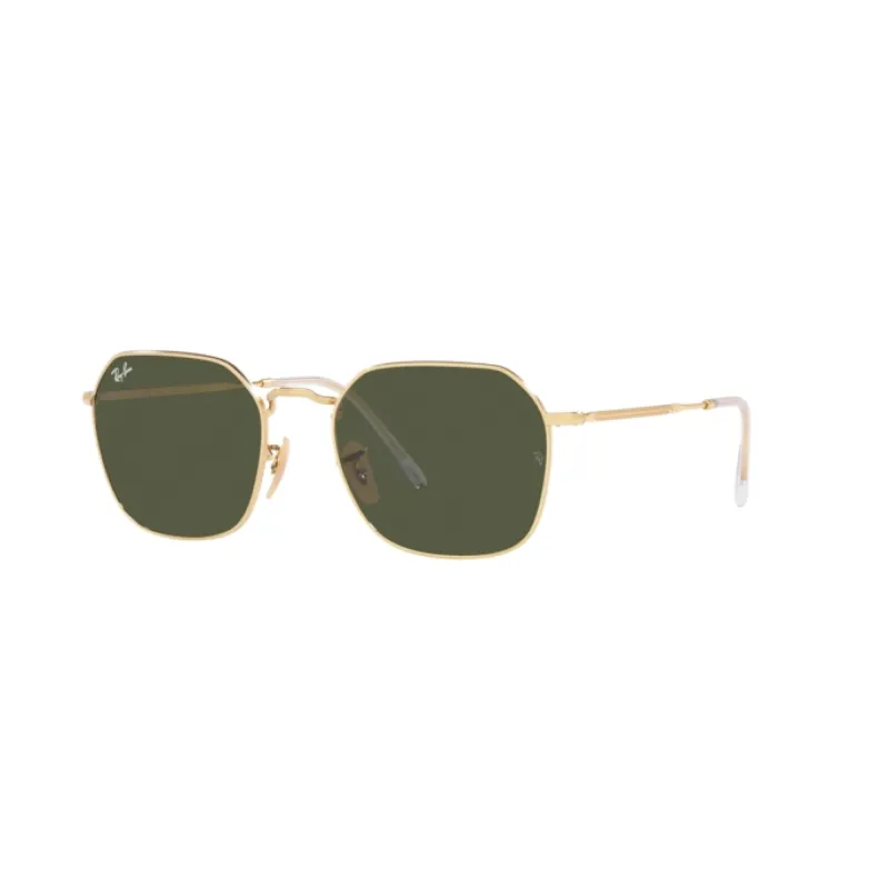 RAY-BAN  SUNGLASSES RB3694 001/31